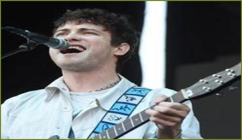 Andrew VanWyngarden Net Worth