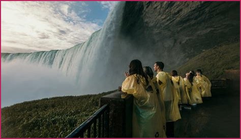 Exploring The Life Of Jon Tenney's Wife: A Journey Behind The Scenes